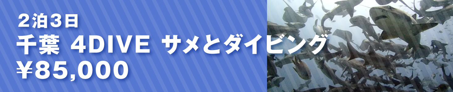 千葉4DIVE2泊３日:10/2-4(広告）