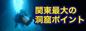 雲見：11/7（広告）